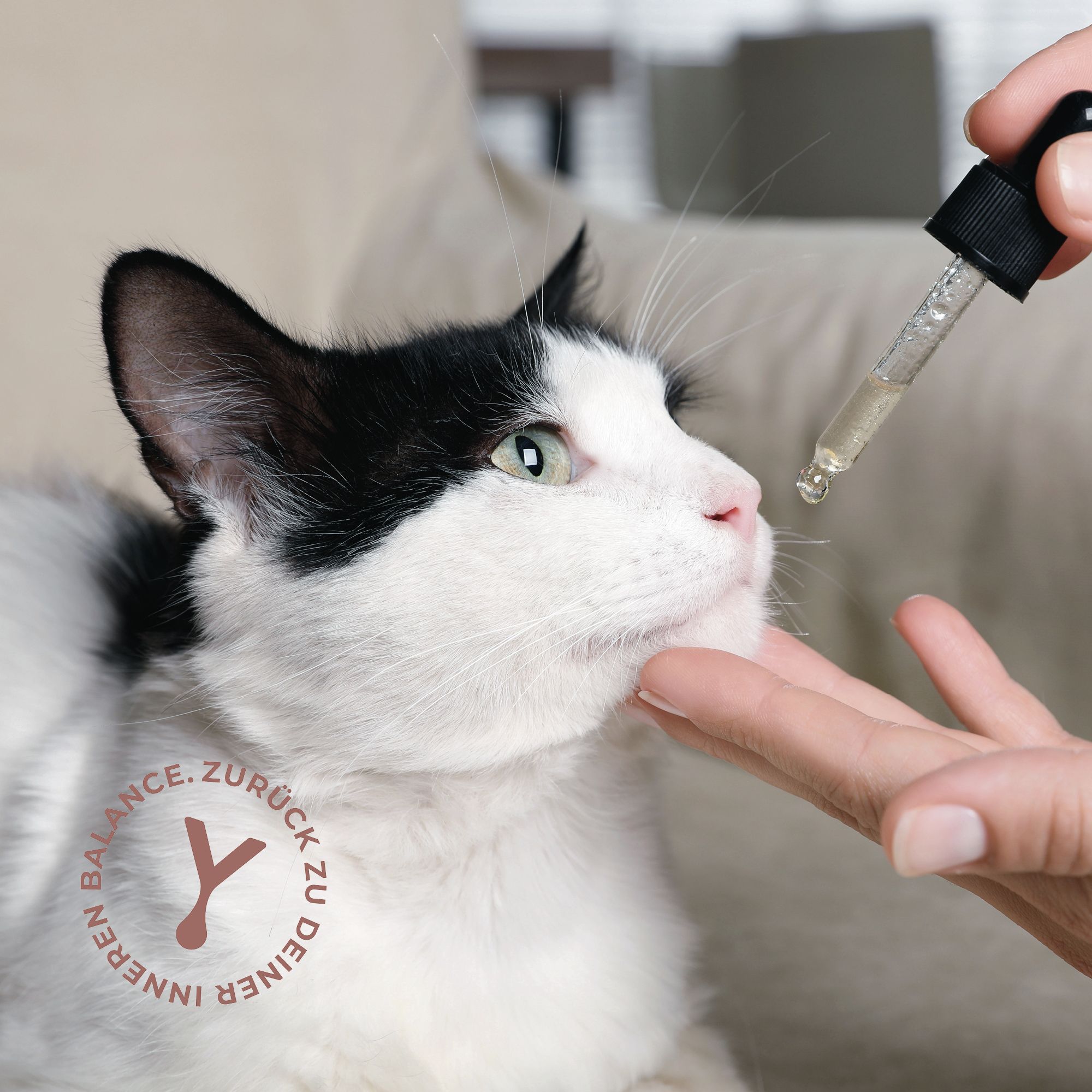 CANNABY Premuim CBD Öl 3% für Katzen Breitspektrum