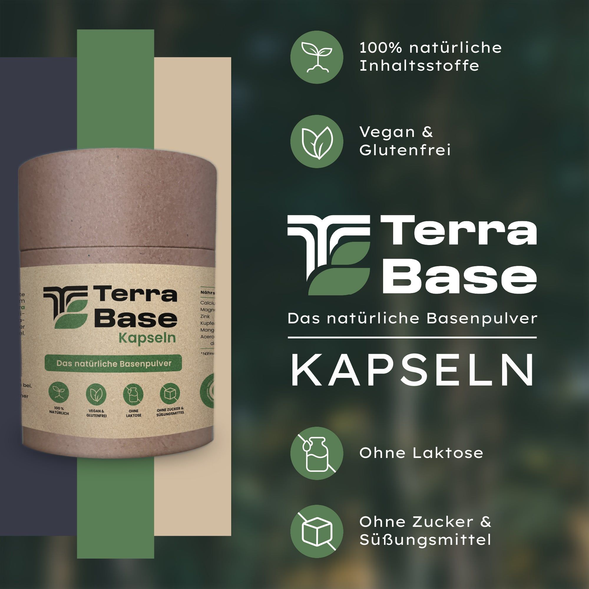 TerraBase® natürliche Basenpulver Kapseln
