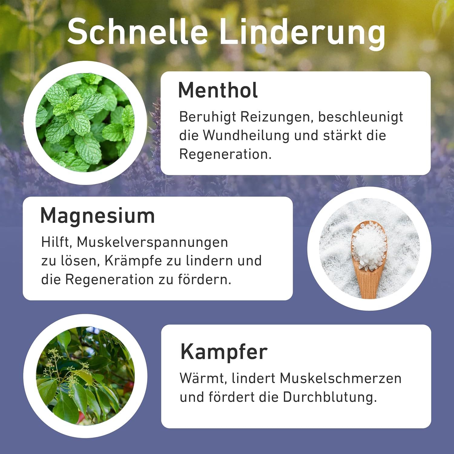 Text-Grafik mit Inhaltsstoffen: Menthol, Magnesium, Kampfer. Bilder von Minze, Salz, Blättern. Text: Schnelle Linderung.