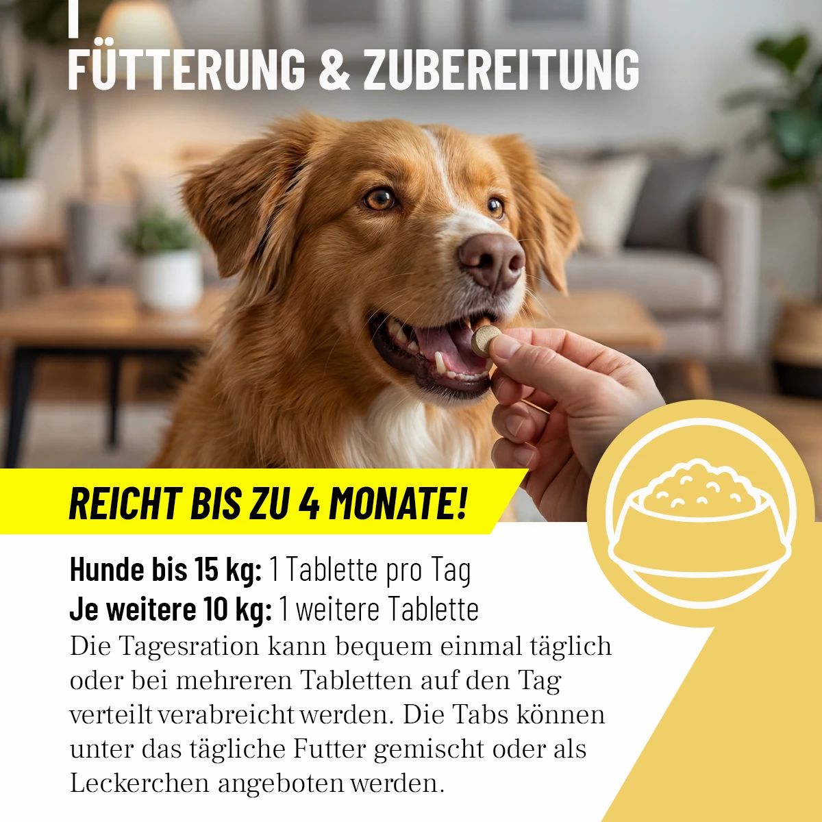Hand gibt Hund Tablette. Text: Fütterung & Zubereitung. Bis zu 4 Monate. Dosierung: 1 Tablette pro 15 kg. Kann unter Futter gemischt werden.