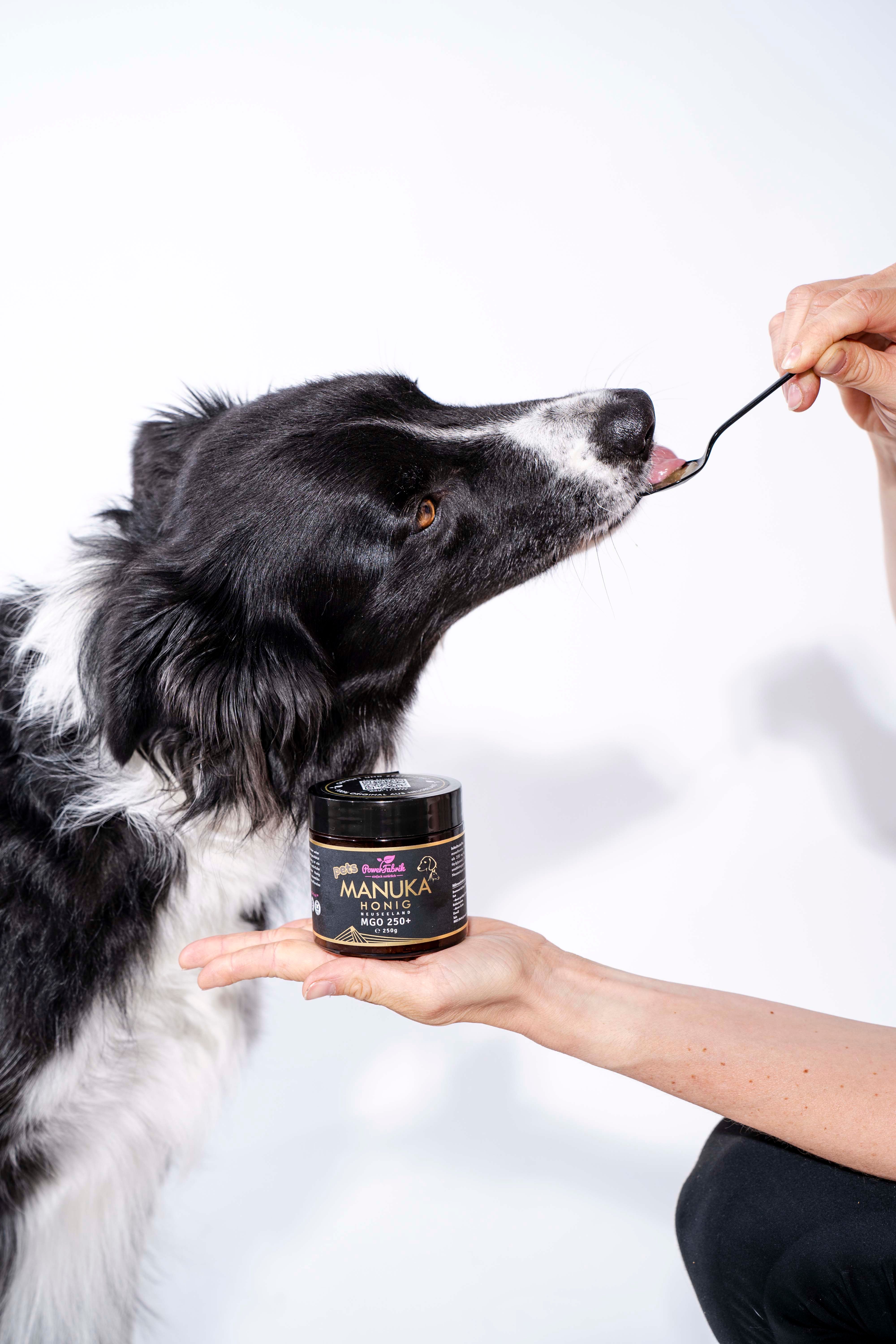 PowerFabrik Manuka Honig für Tiere, MGO 250+