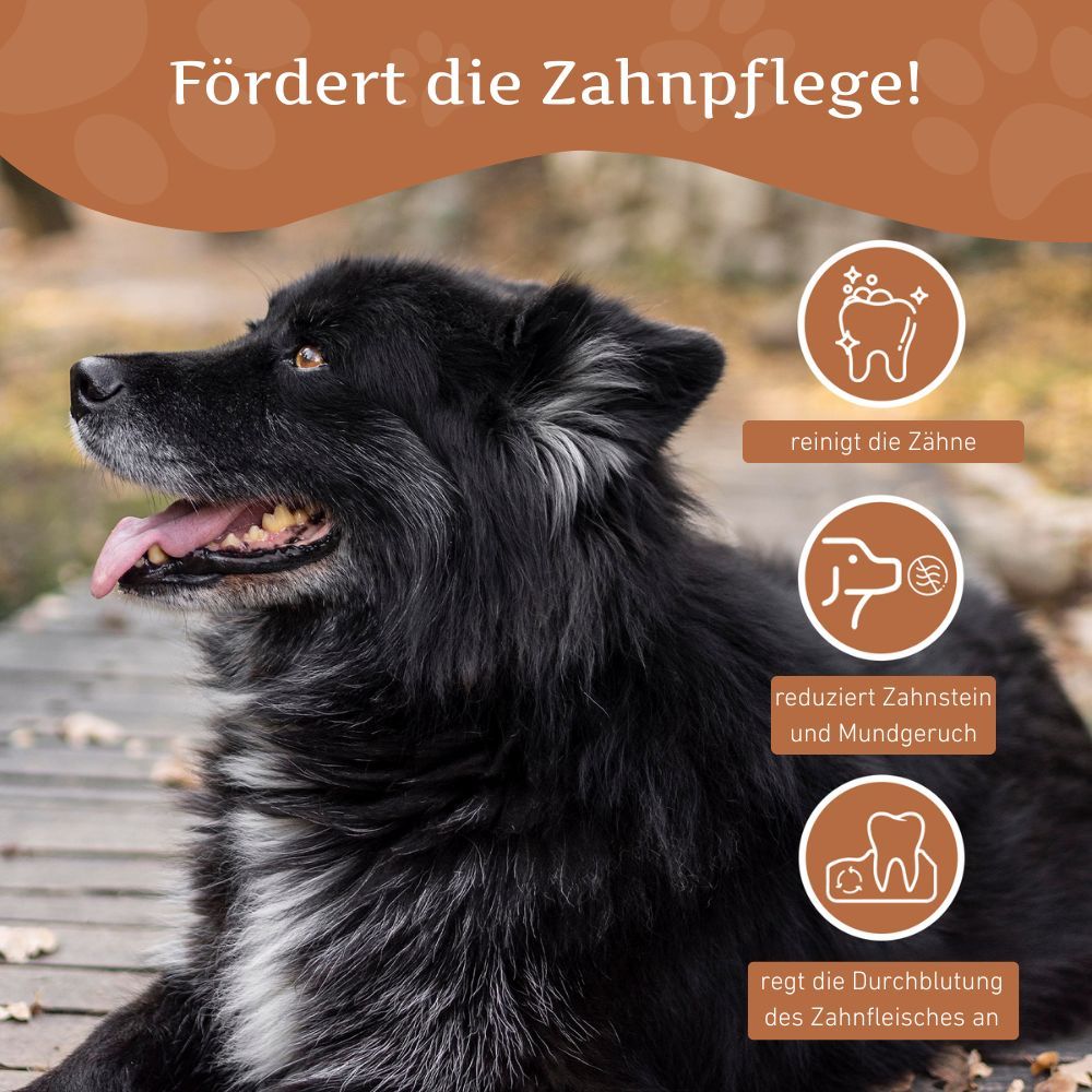 Schwarzer Hund mit offenem Maul. Grafiken zeigen: Zahnreinigung, Reduzierung von Zahnstein, Anregung der Durchblutung des Zahnfleisches.