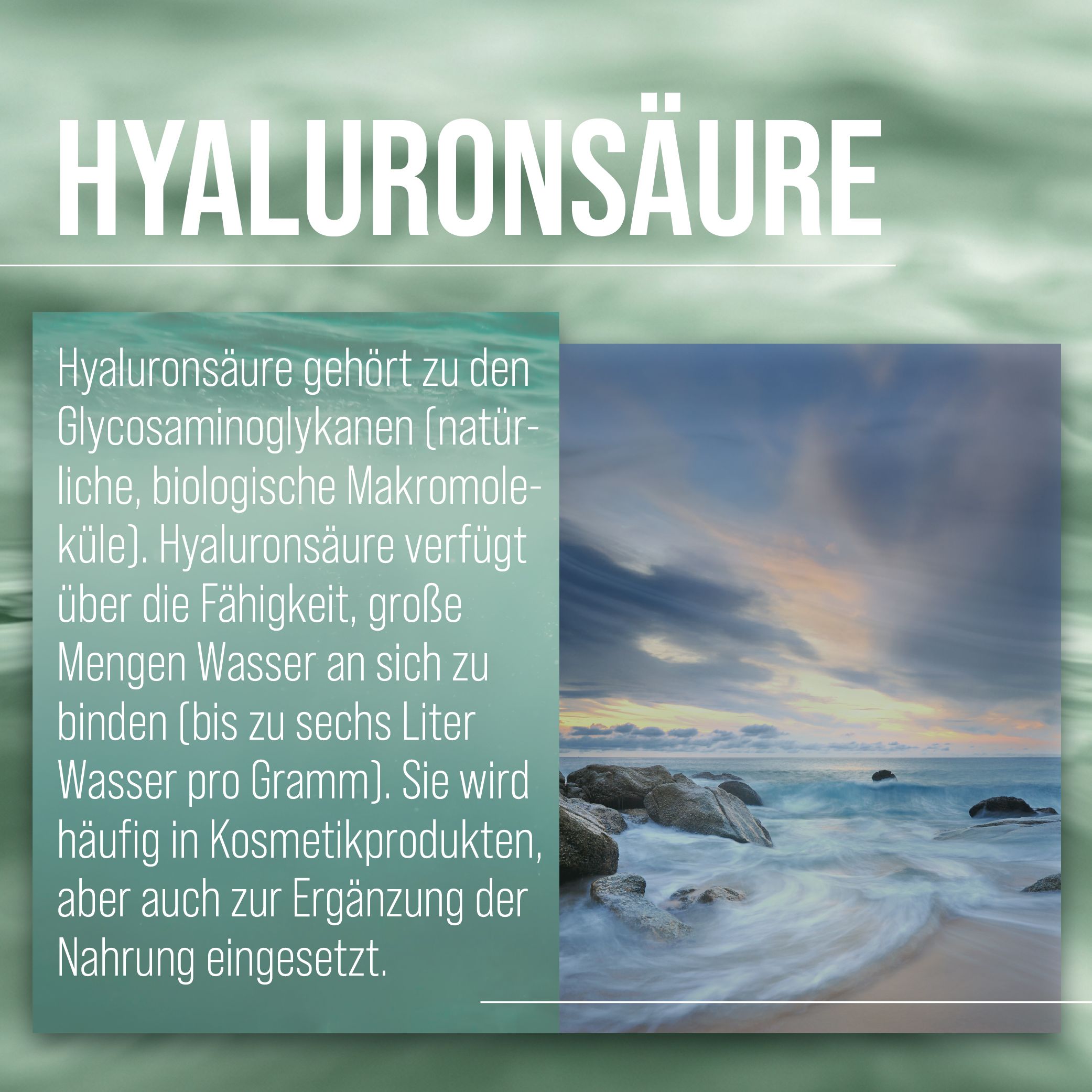Text über Hyaluronsäure. Enthält Informationen über Glycosaminoglykane und deren Fähigkeit, Wasser zu binden. Hintergrund: Meer und Himmel.