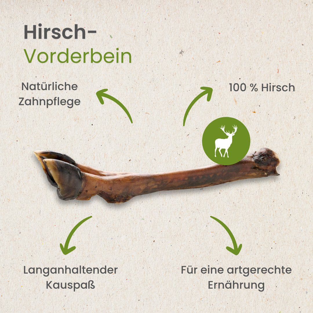 Ein einzelnes Rinderohr, getrocknet.