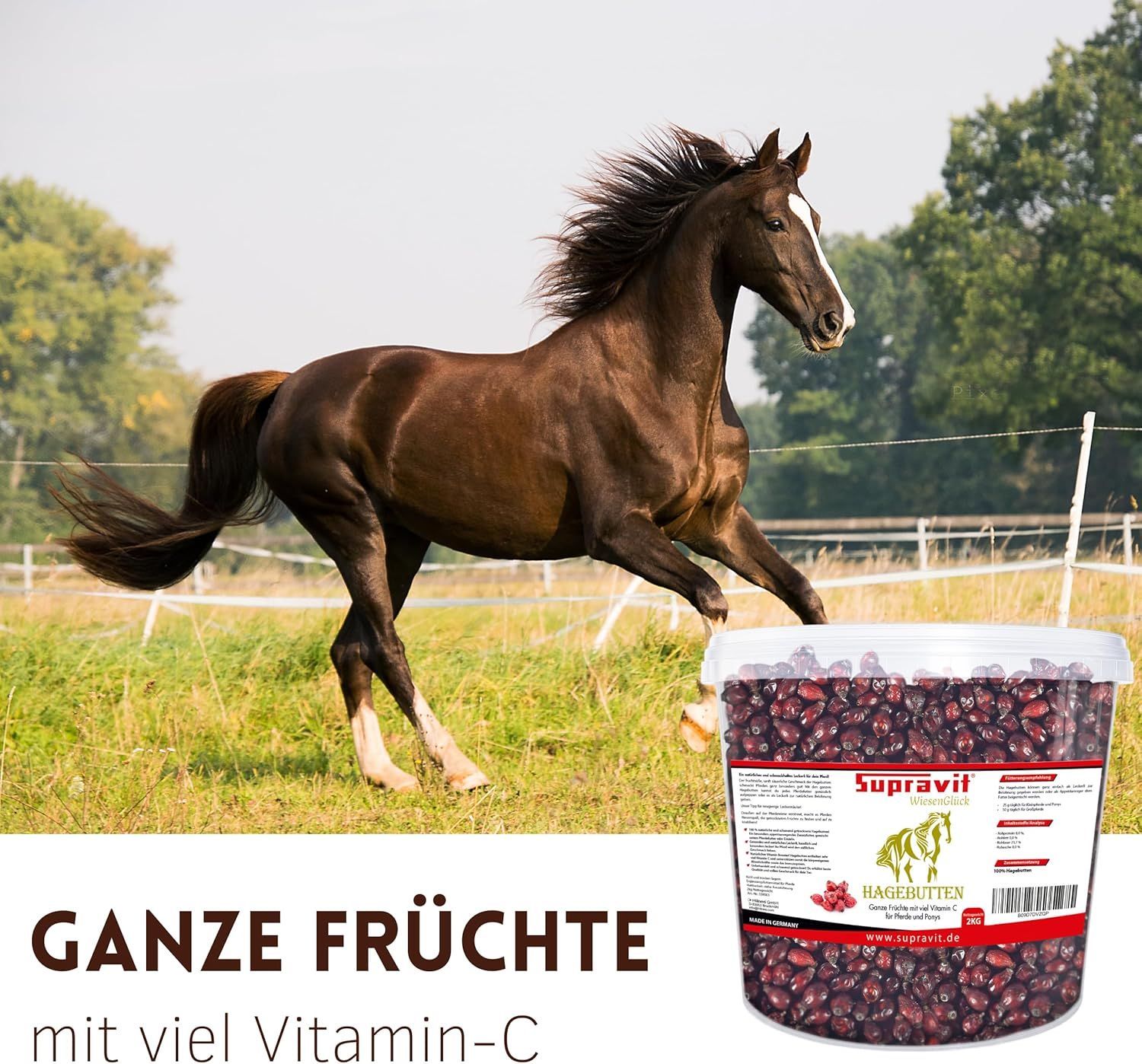 Braunes Pferd galoppiert auf einer Wiese. Eimer mit Hagebutten-Produkt, Text: Ganze Früchte mit viel Vitamin-C.