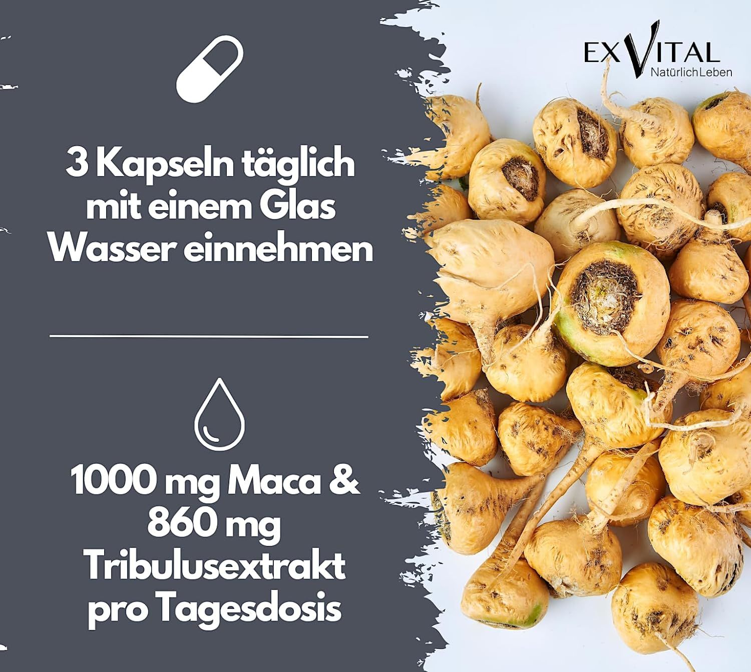 EXVital® Maca 1000 Plus Tribulus 74 g Kapseln