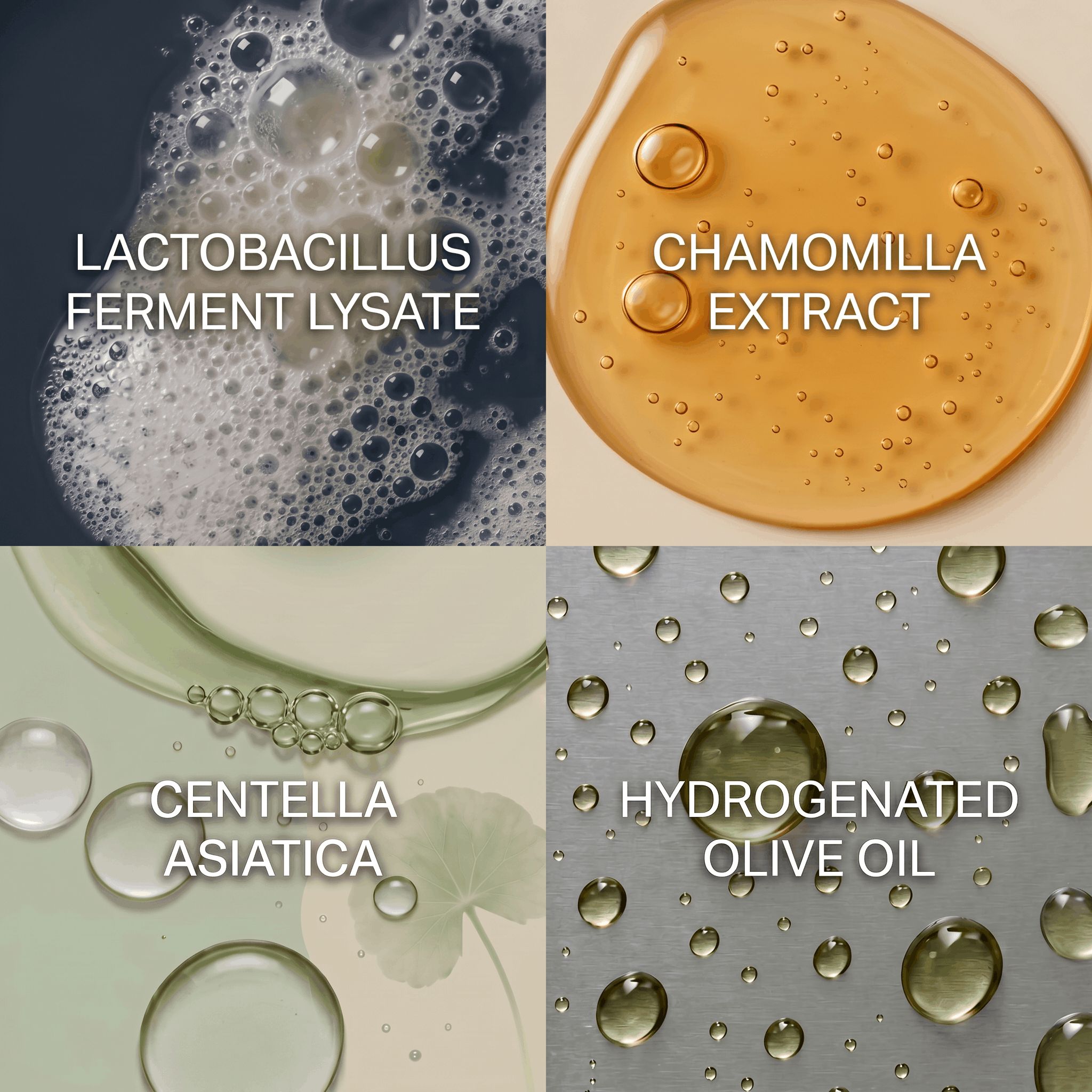 Vier Quadrate zeigen Inhaltsstoffe: Lactobacillus Ferment Lysate, Chamomilla Extract, Centella Asiatica, Hydrogenated Olive Oil.