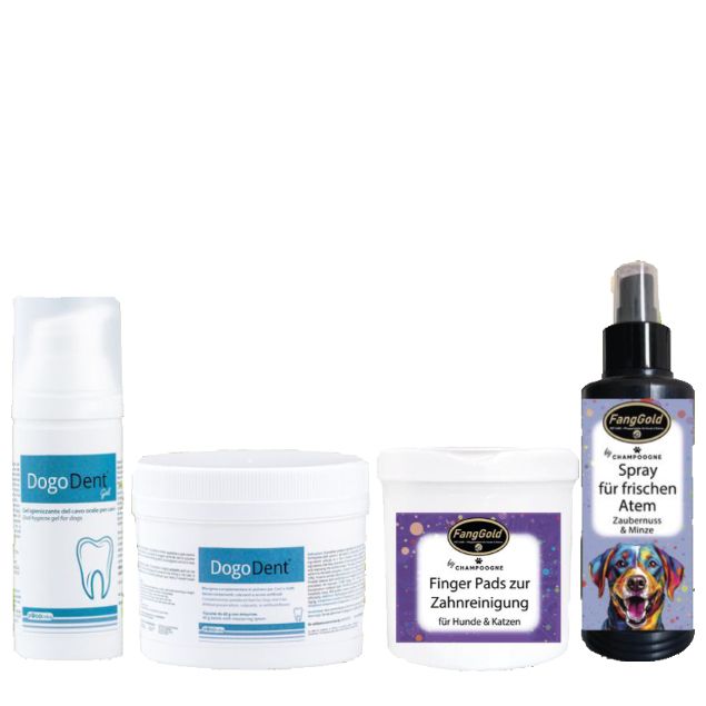 Zahnpflege-Set für Hunde. Enthält Gel, Zahnpads und Spray. Produkte mit Aufschriften wie "Dogo Dent" und "FangGold".