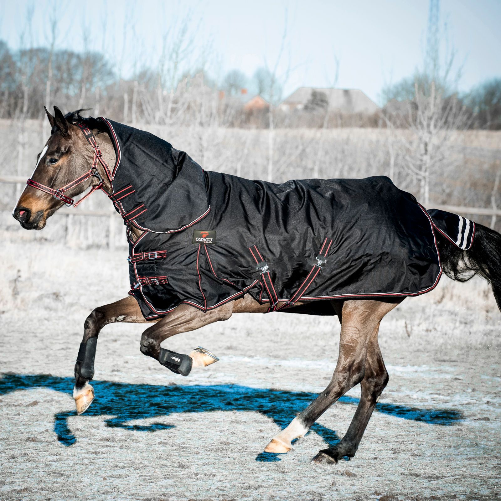 CATAGO Endurance 1680D Outdoordecke für Pferde, 300g