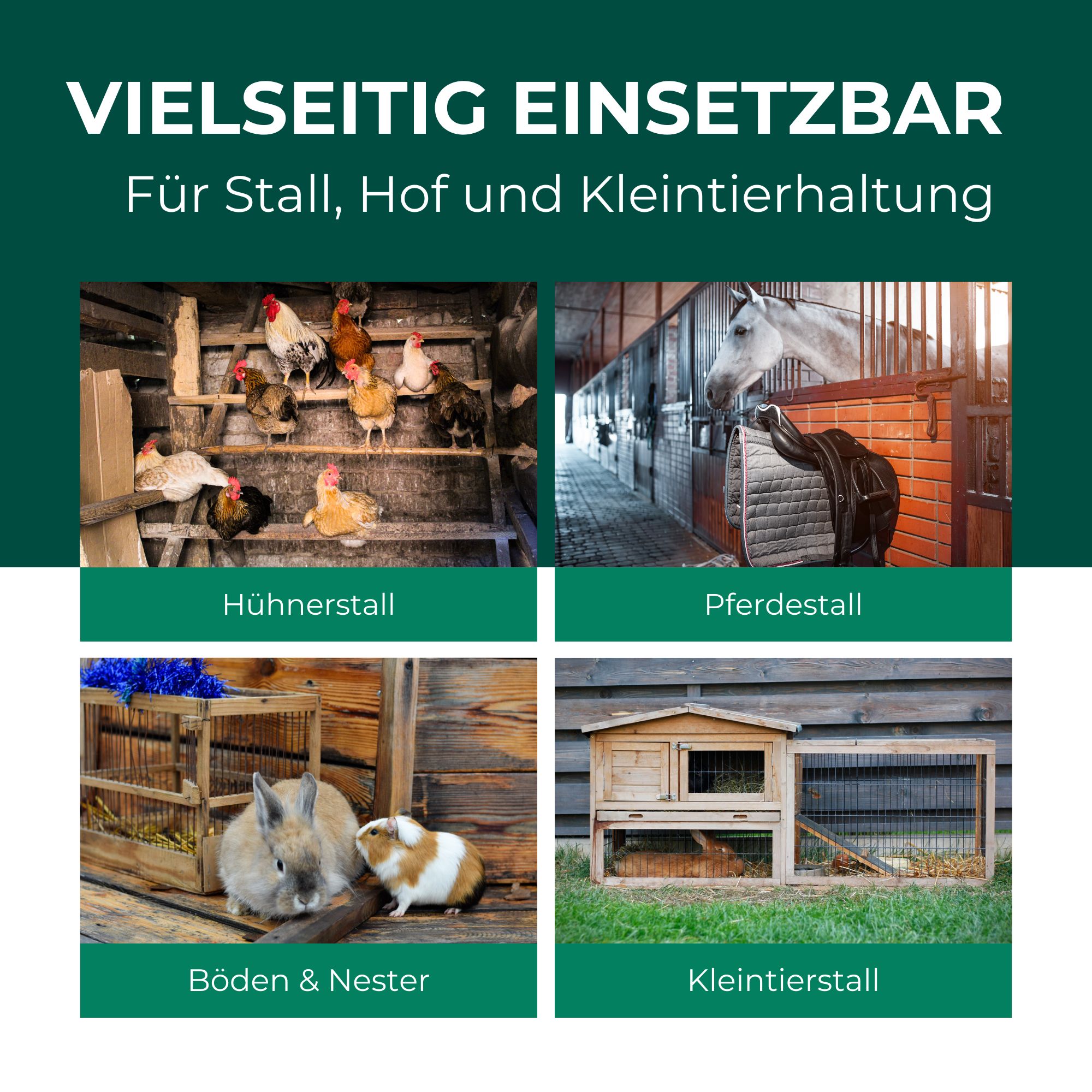 Bilder von Hühnerstall, Pferdestall, Böden & Nester, Kleintierstall. Text: Vielseitig einsetzbar für Stall, Hof und Kleintierhaltung.