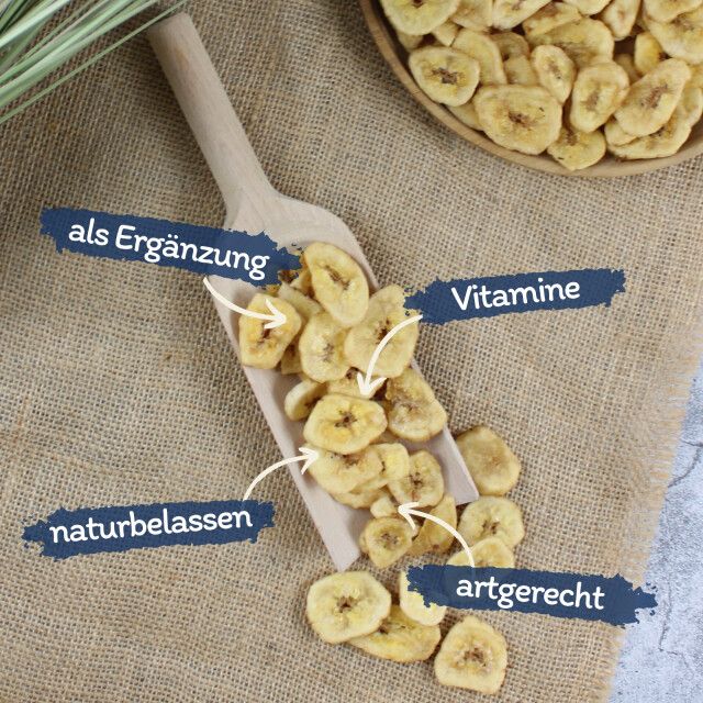 Getrocknete Bananenscheiben auf Holzschaufel und in Schale. Text: 'als Ergänzung', 'Vitamine', 'naturbelassen', 'artgerecht'.