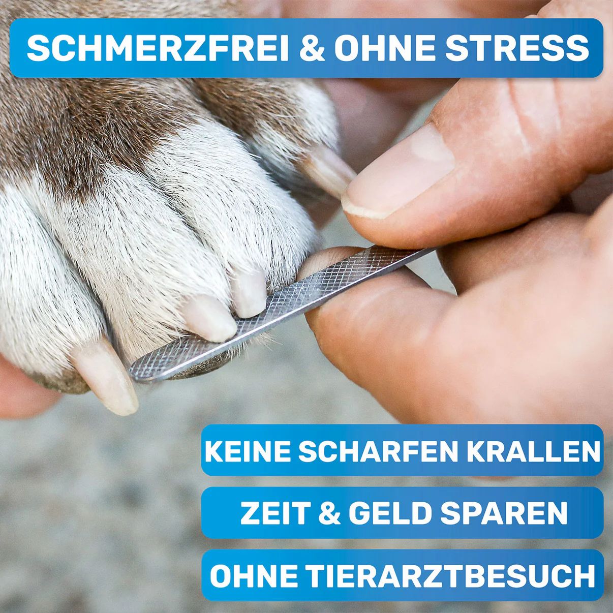 Krallenschere mit Schutz