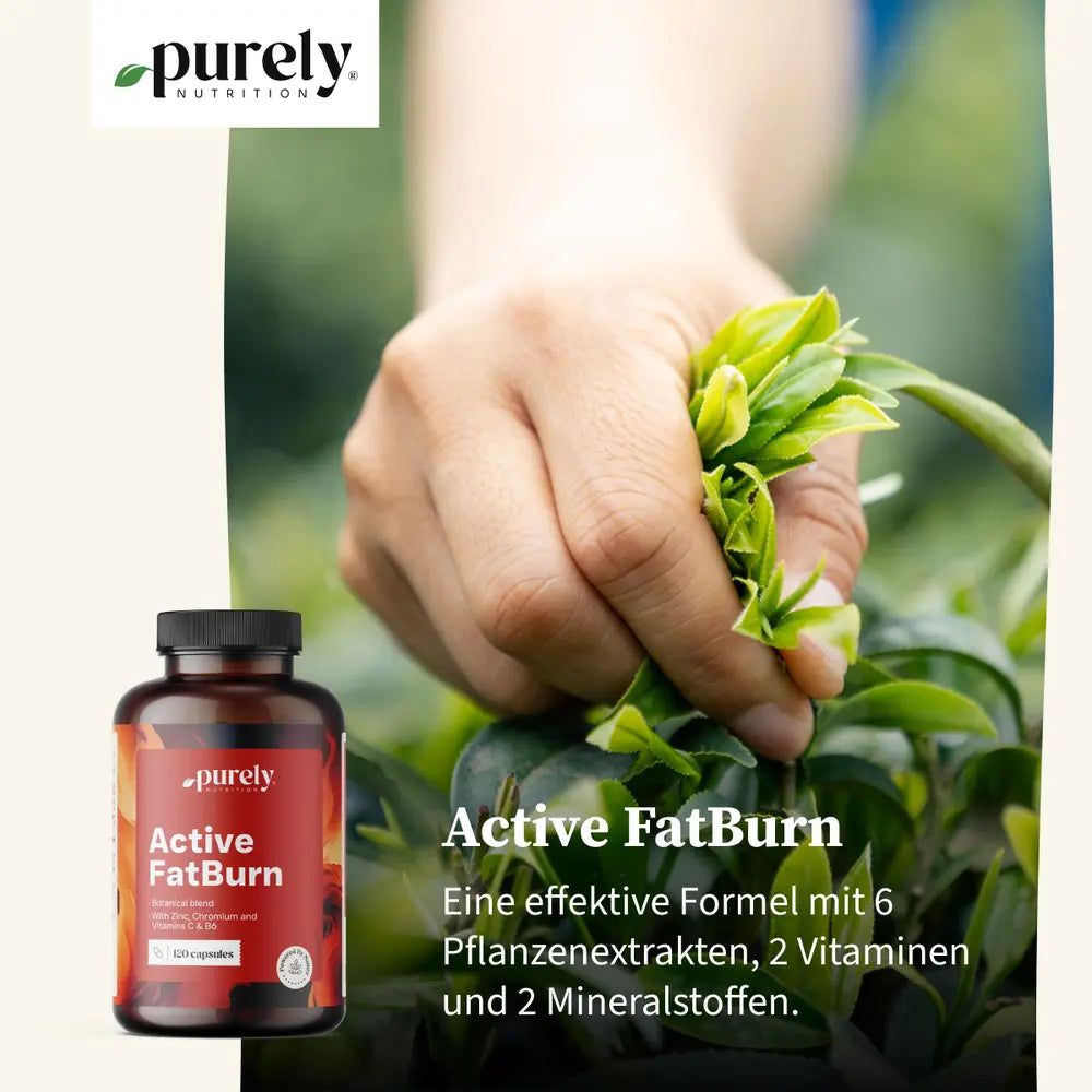 Drei Dosen 'Active FatBurn' auf hellem Hintergrund mit Pflanzenmotiven.