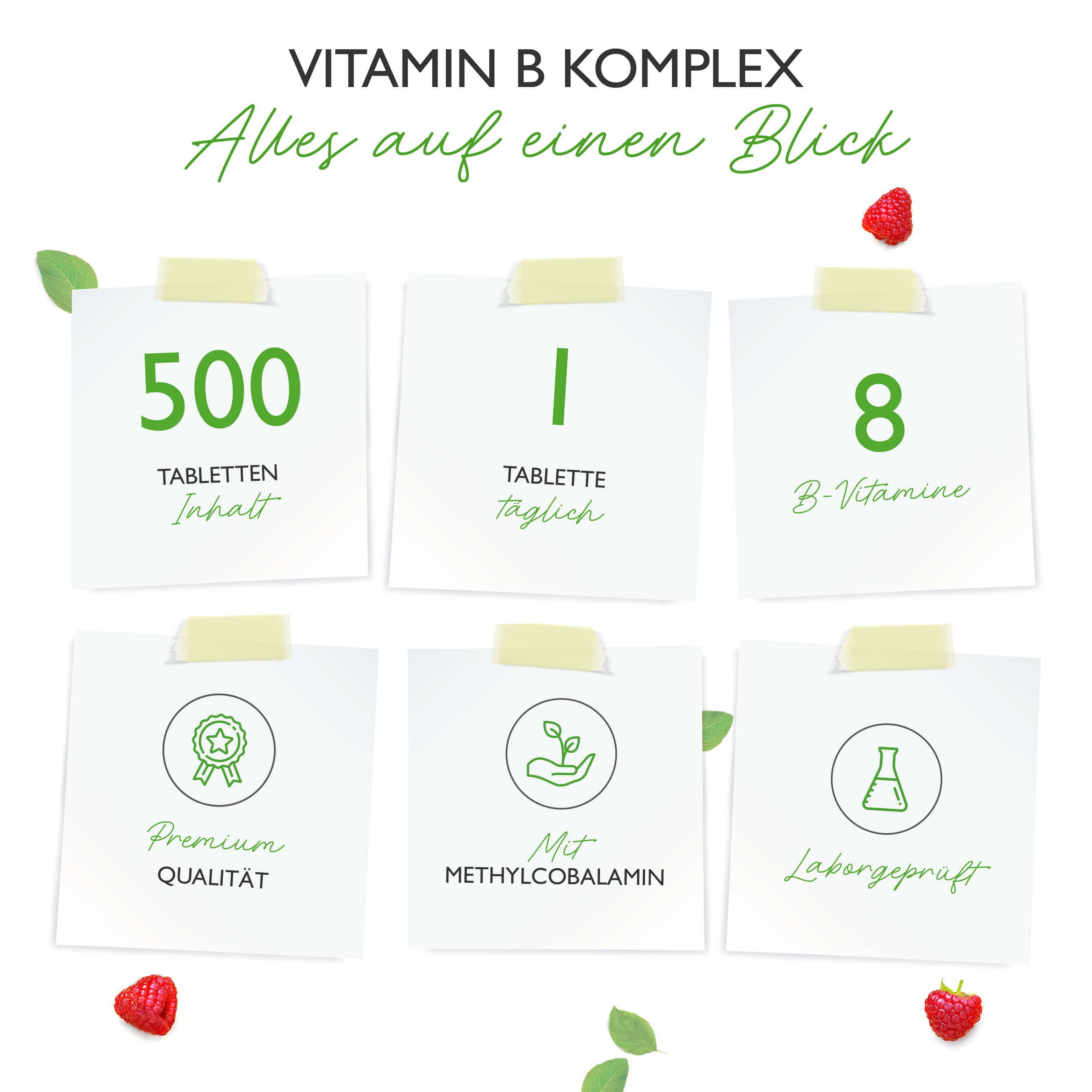 Infografik mit 6 Karten. Enthält: 500 Tabletten, 1 Tablette täglich, 8 B-Vitamine, Premium Qualität, Mit Methylcobalamin, Laborgeprüft.