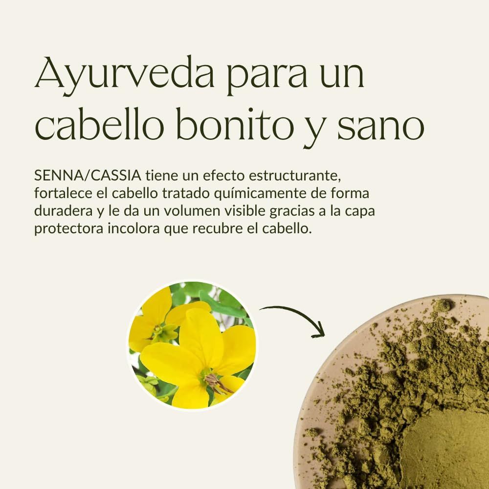 Schüssel mit Pulver, gelbe Blüten. Text: Ayurveda für schönes und gesundes Haar. Senna/Cassia-Effekt.