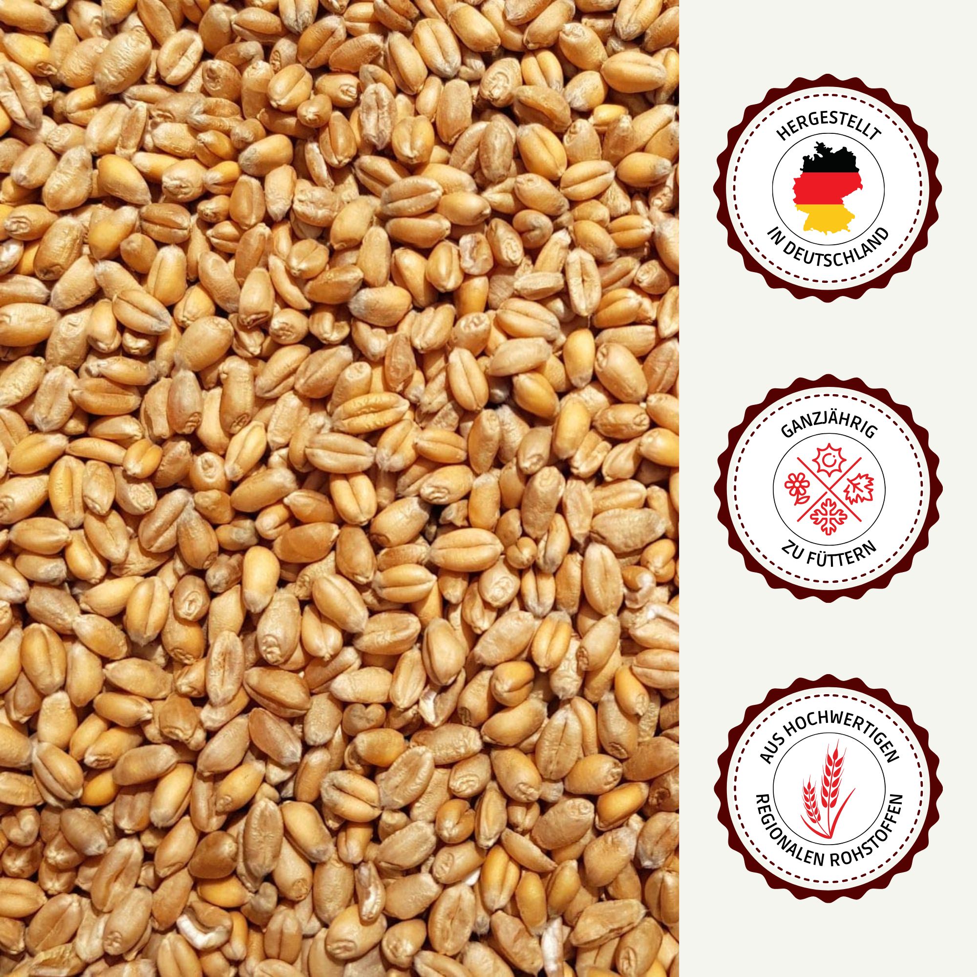 Nahaufnahme von Weizenkörnern. Drei Siegel: Hergestellt in Deutschland, Ganzjährig zu füttern, Aus hochwertigen Rohstoffen.