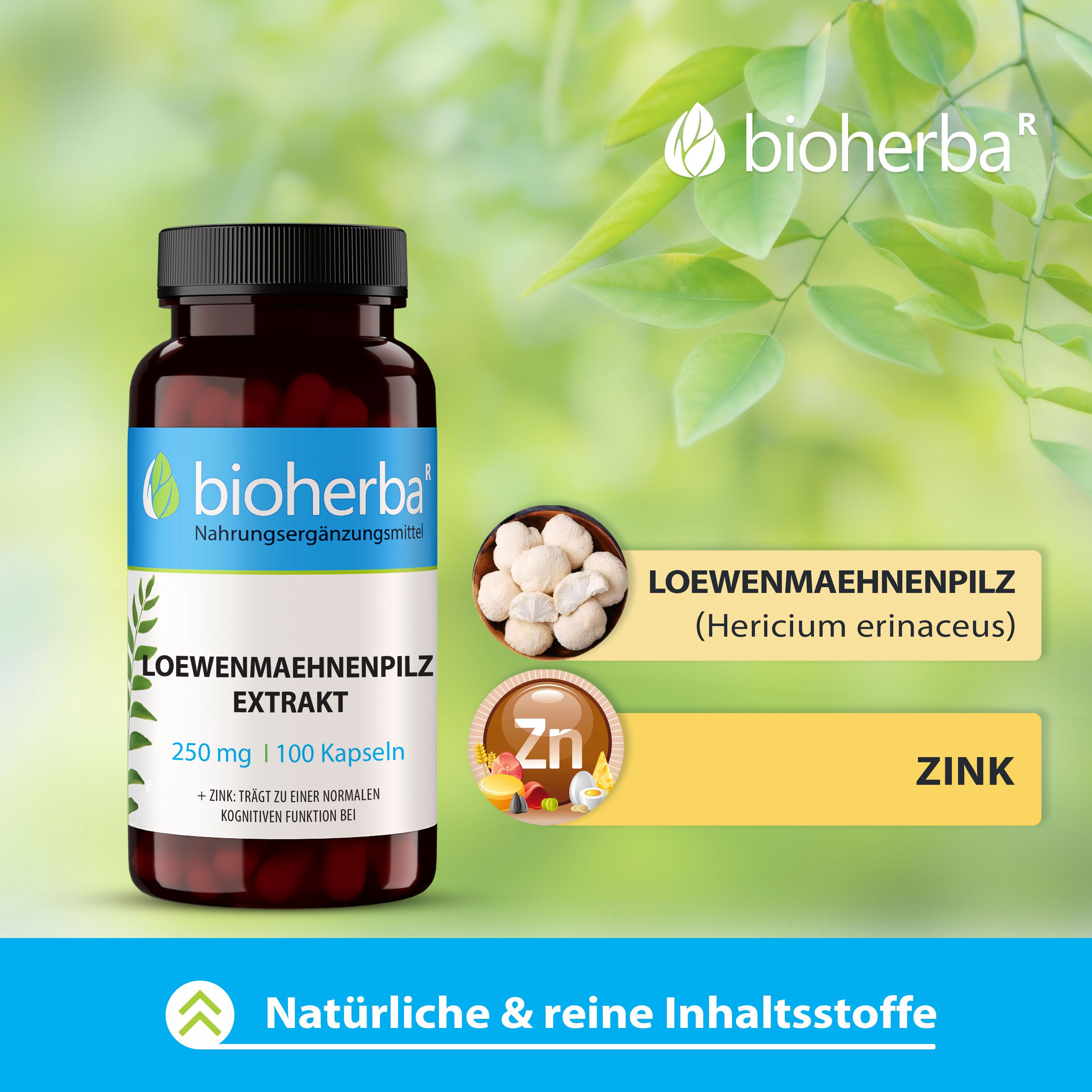 Bioherba Loewenmaehnenpilz Kapseln