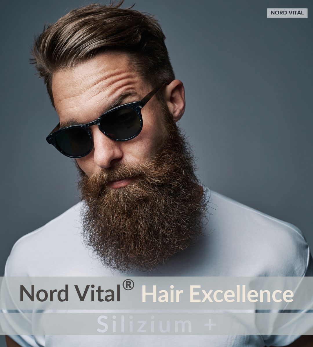 Nord Vital Silizium aus Bambus-Extrakt, Hirse-Extrakt, Biotin, Zink, Selen, Kupfer, und Folsäure