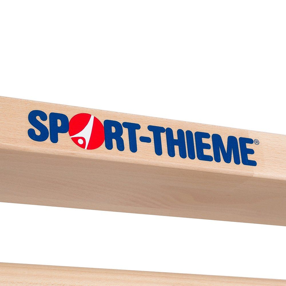 Nahaufnahme des Sport-Thieme Logos auf der Sprossenwand. Blaues Logo mit rotem Element.