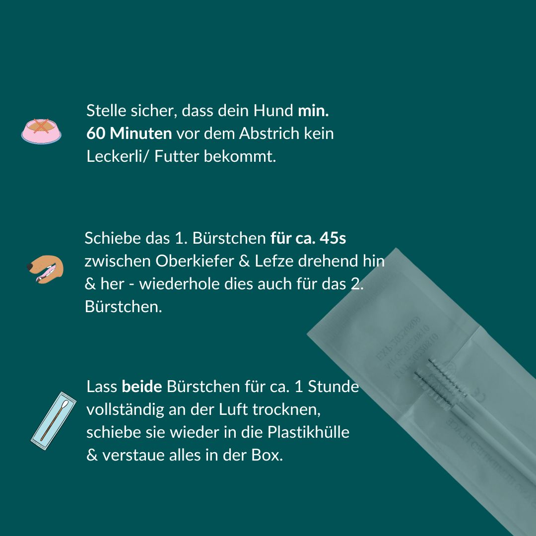 Anleitung: Hund 60 Min. vor Abstrich kein Futter. Bürstchen 45s drehen, trocknen lassen, in Hülle legen.