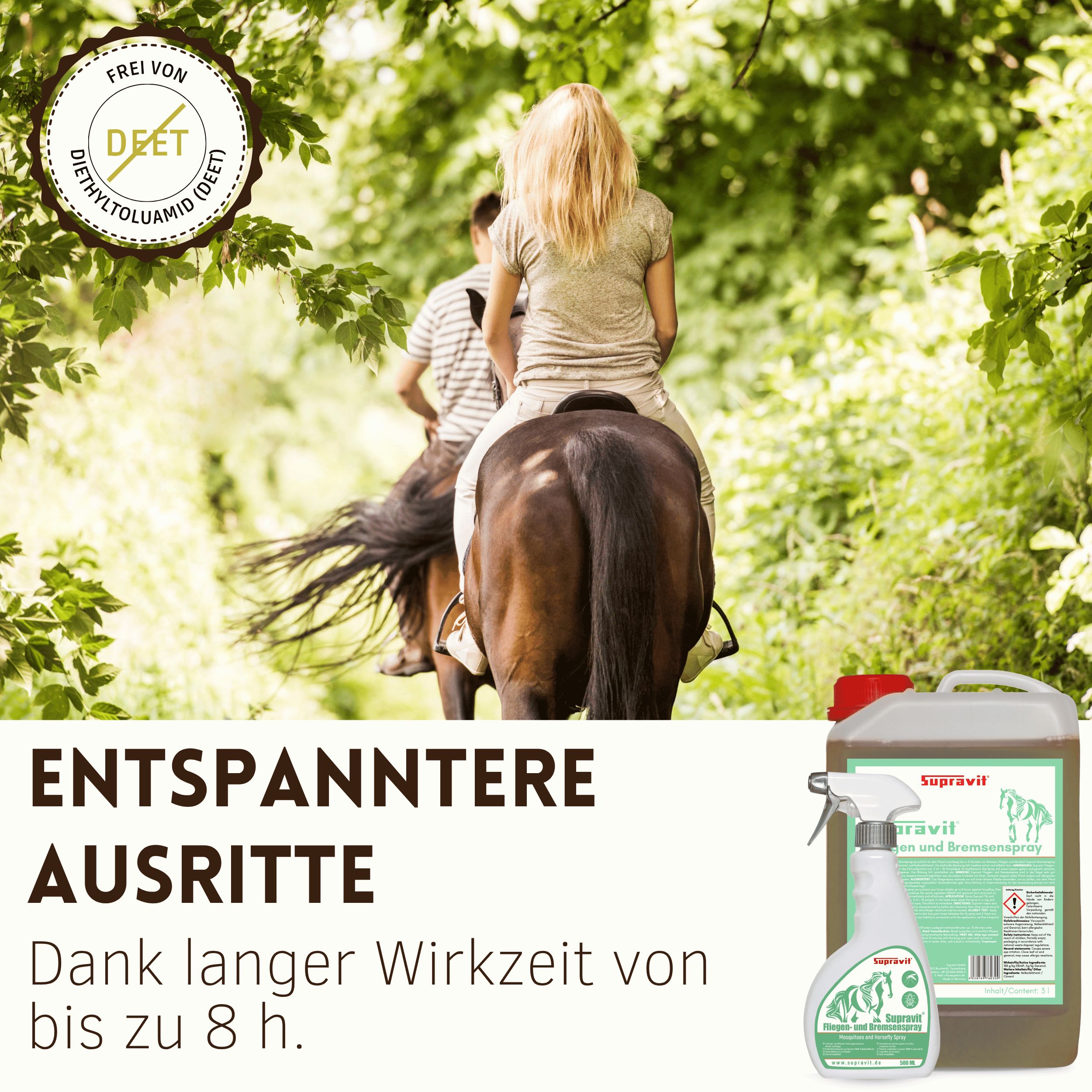 Zwei Reiter auf Pferden im Freien.