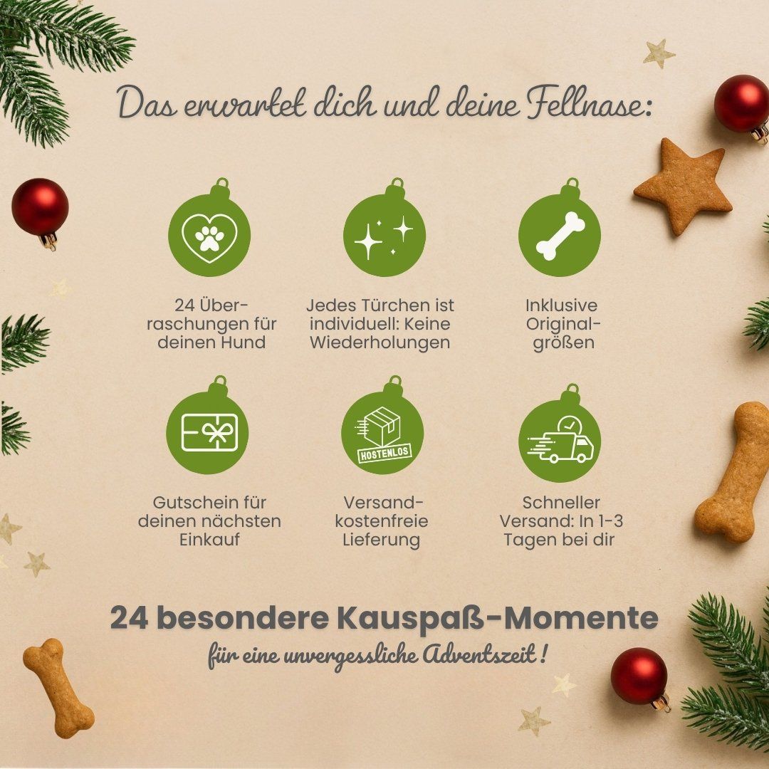 Übersicht über die Inhalte eines Adventskalenders für Hunde.