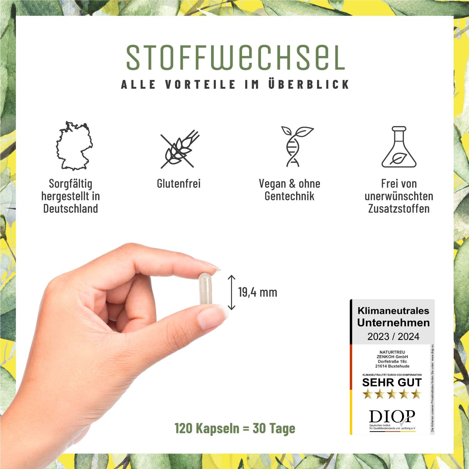 Stoffwechsel mit L-Carnitin und grünem Tee-Extrakt - NATURTREU®