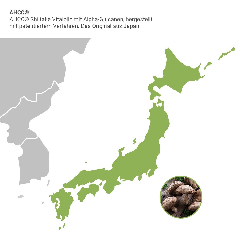 Grüne Karte von Japan. Kleines Bild von Pilzen. Text: AHCC® Shiitake Vitalpilz mit Alpha-Glucan.