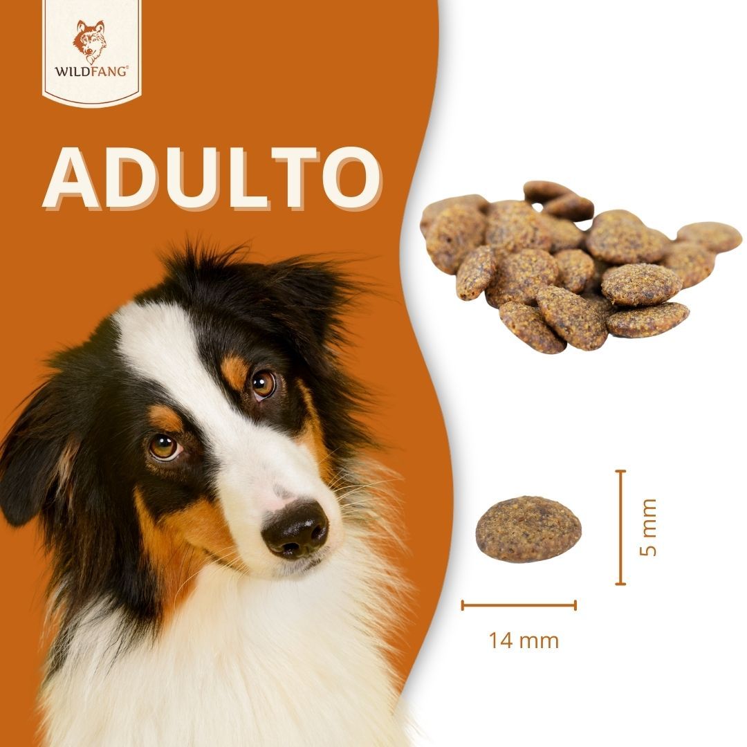 Hundefutter-Trockenfutter. Trockenfutter-Krokette, 14 mm x 5 mm. Hund im Hintergrund. Text: Adulto. Wildfang Logo.