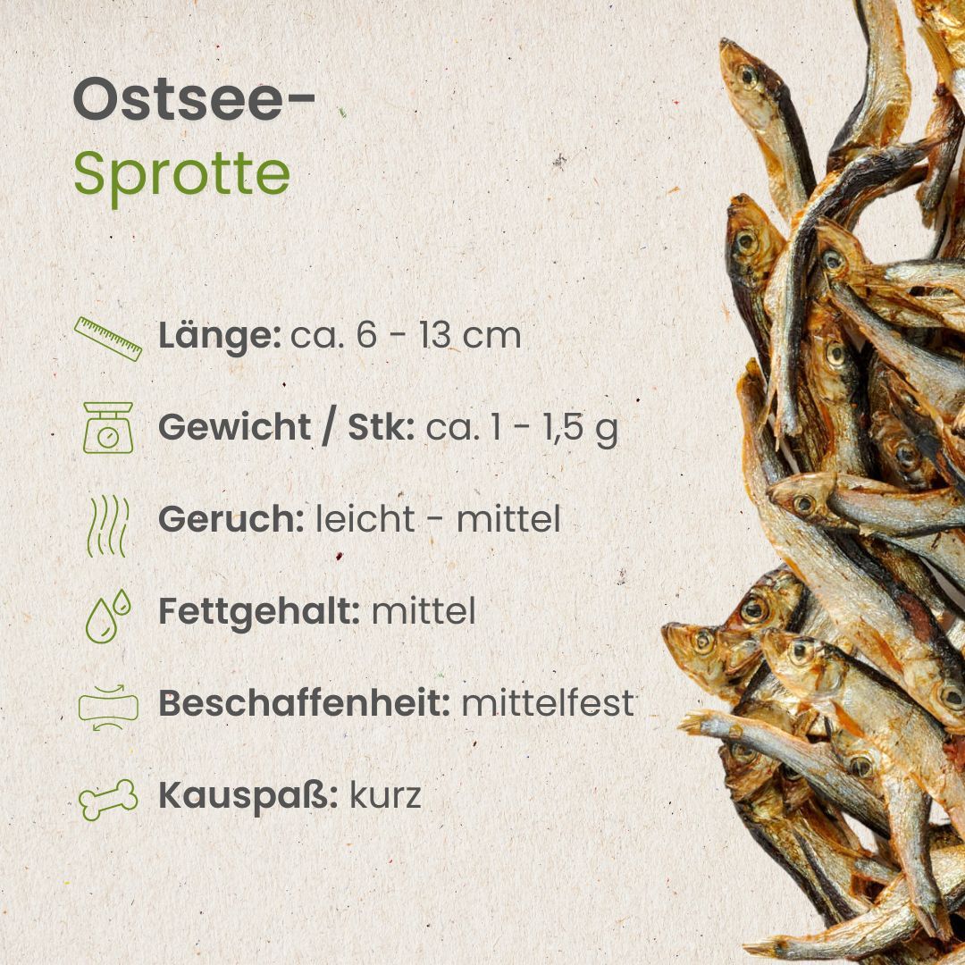 Getrocknete Sprotten, Länge ca. 6-13 cm, Gewicht ca. 1-1,5 g.