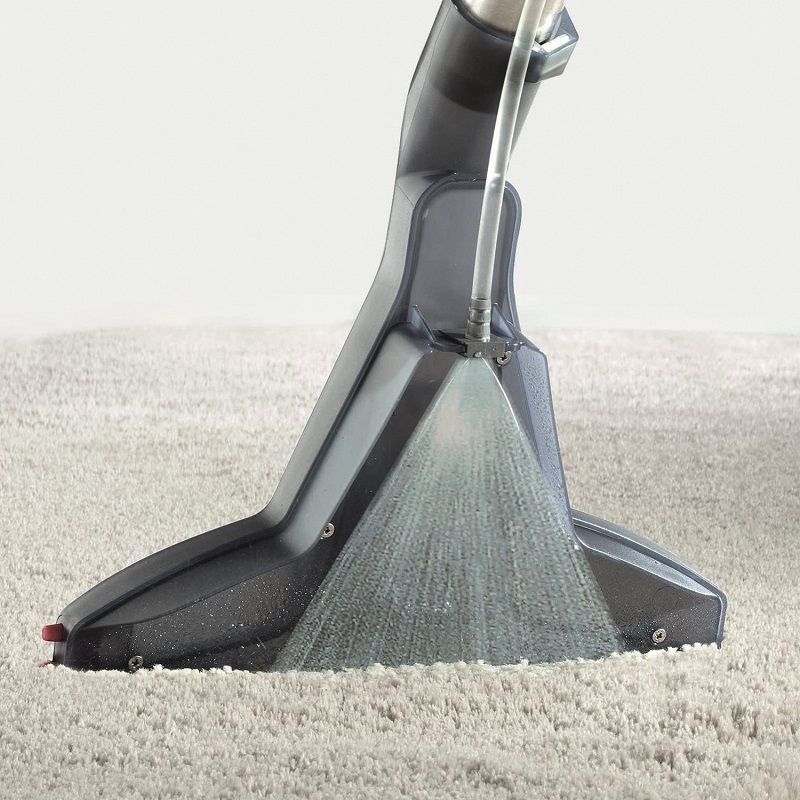 THOMAS DryBox Amfibia Pet