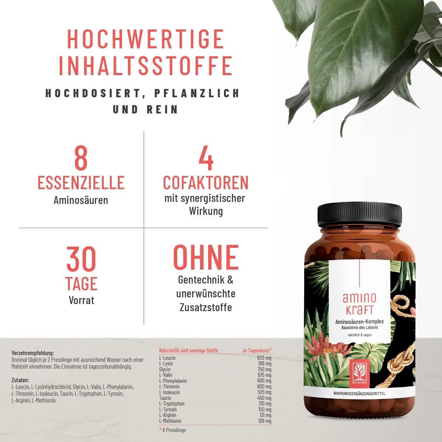 Grafik mit Text: 8 essentielle Aminosäuren, 4 Cofaktoren, 30 Tage Vorrat, Ohne Gentechnik. Flasche mit Produktaufdruck.