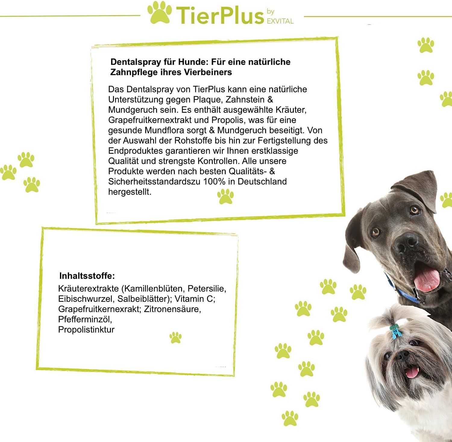 EXVital® Dentalspray für Hunde gegen Zahnbelag Zahnstein & Mundgeruch