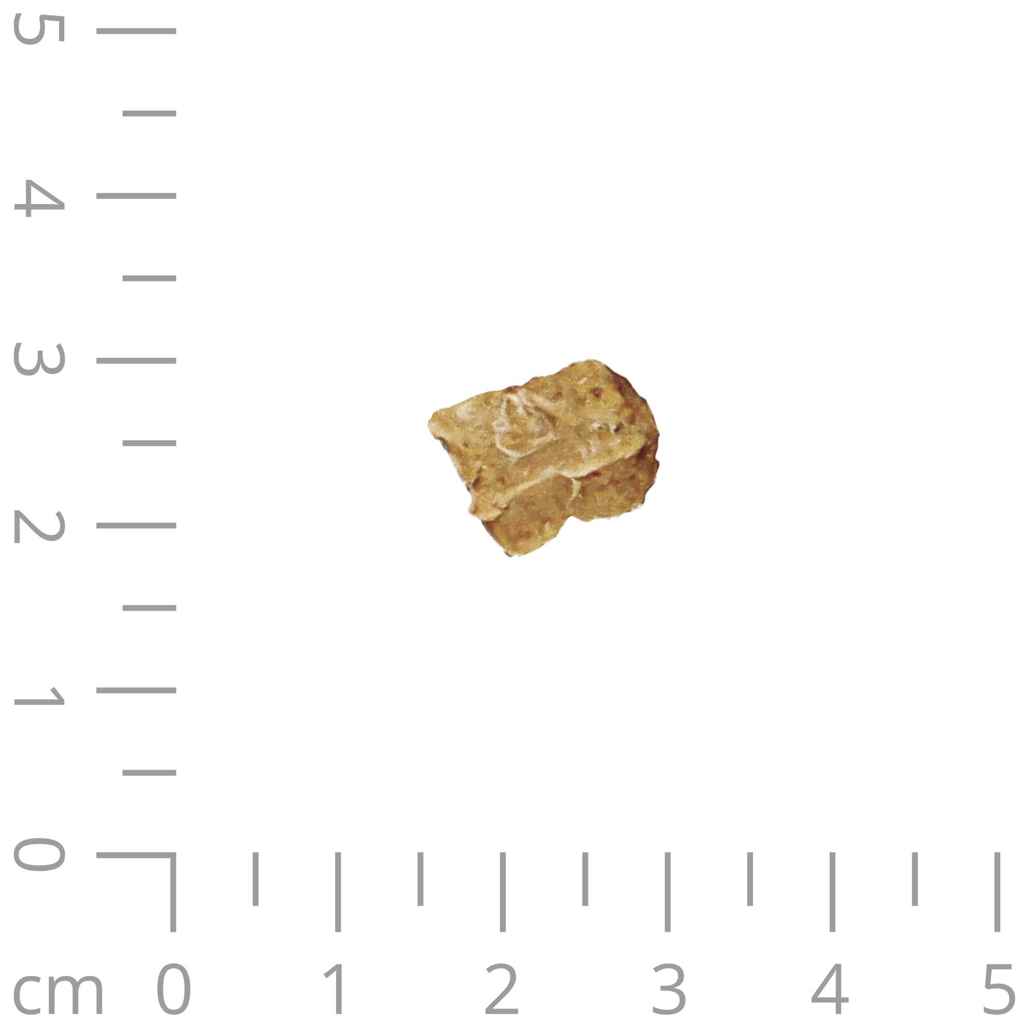 Einzelnes Hundefutter-Nugget. Eckiges, beige Stück, auf einem Raster.