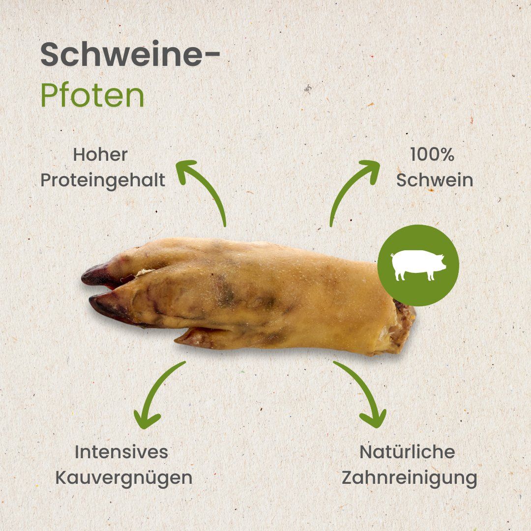 Eine Schweinepfote mit detaillierter Darstellung von Textur und Klauen.