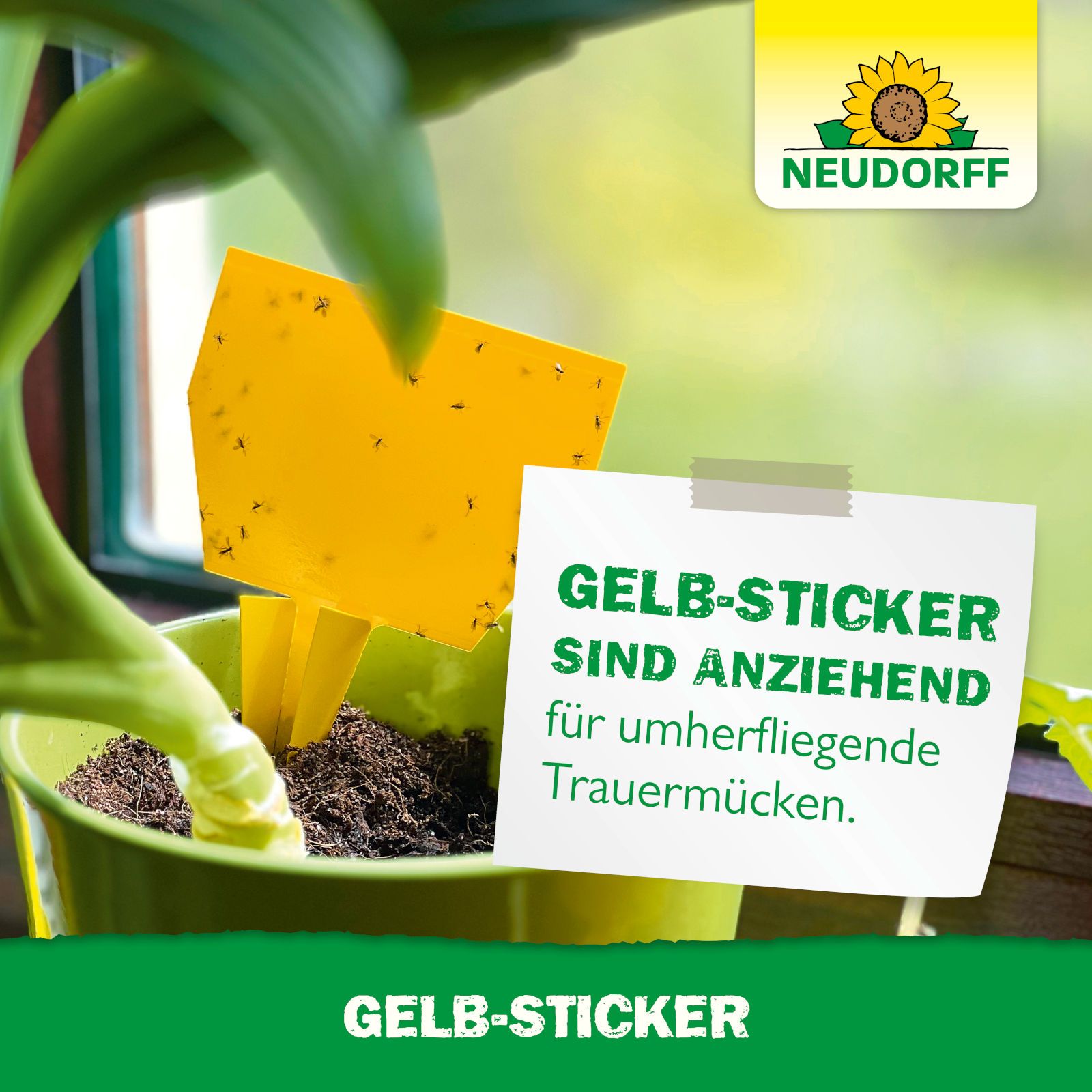 Neudorff Gelb-Sticker