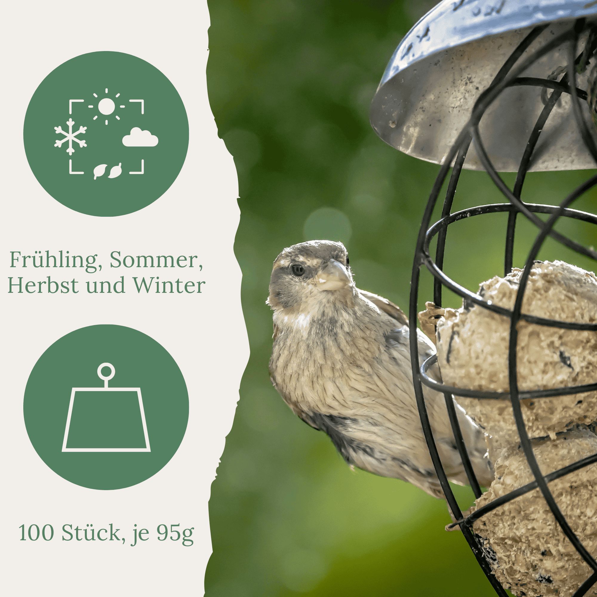 Vogel in Futterhaus. Text: Frühling, Sommer, Herbst und Winter. 100 Stück, je 95g. Grüner Hintergrund mit Symbolen.