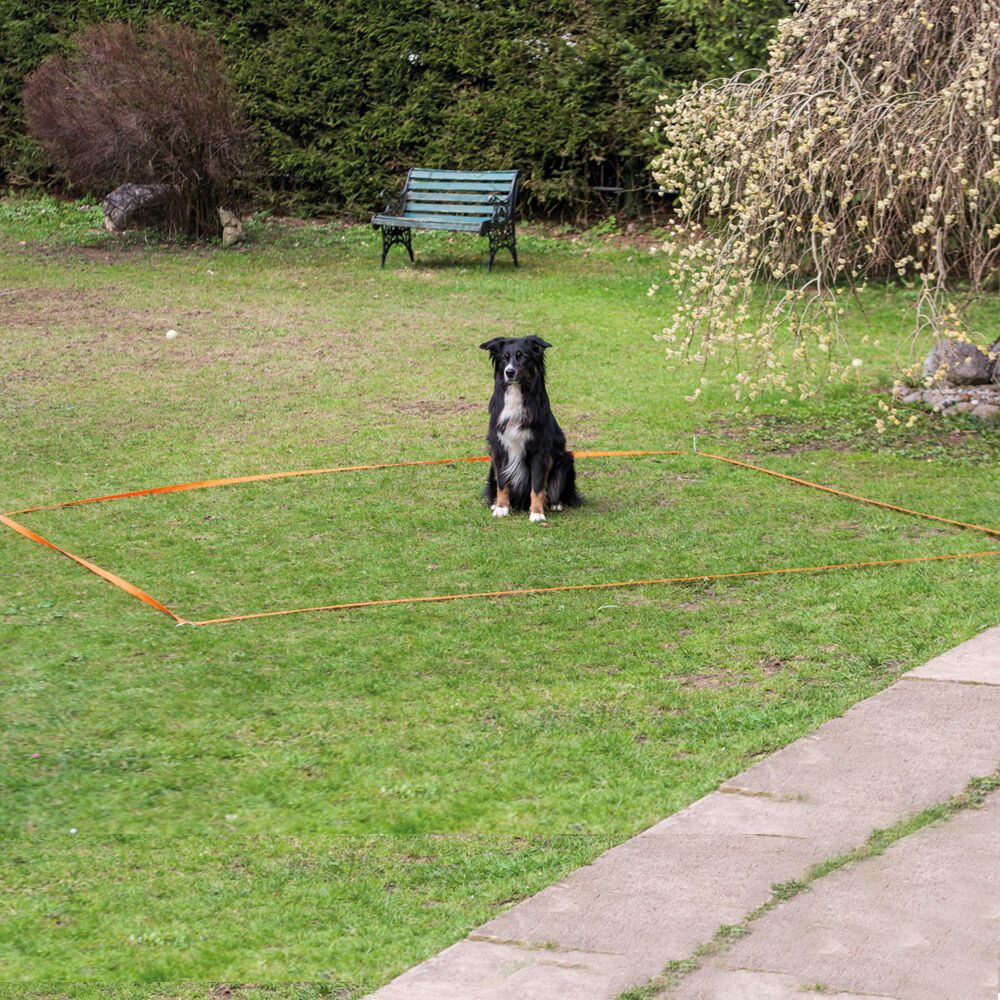 Schecker Obedience Set&nbsp;
