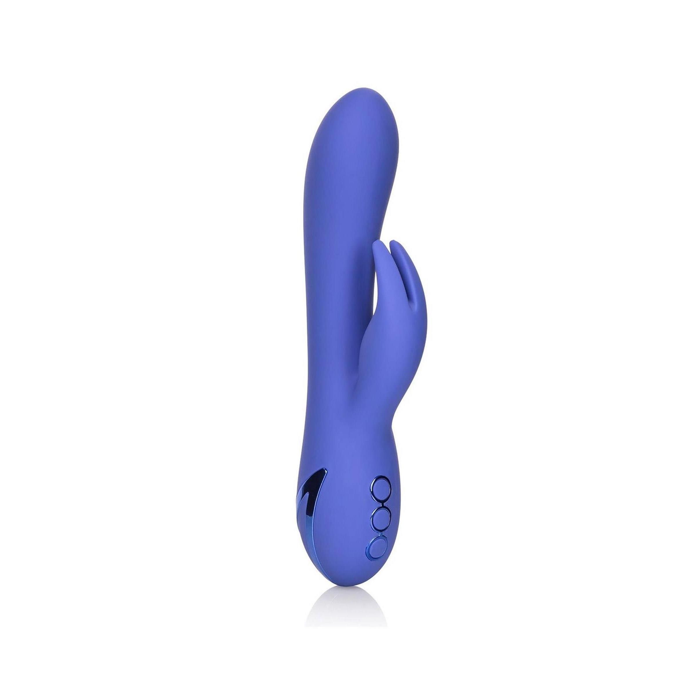 CalExotics - Beverly Hills Bunny