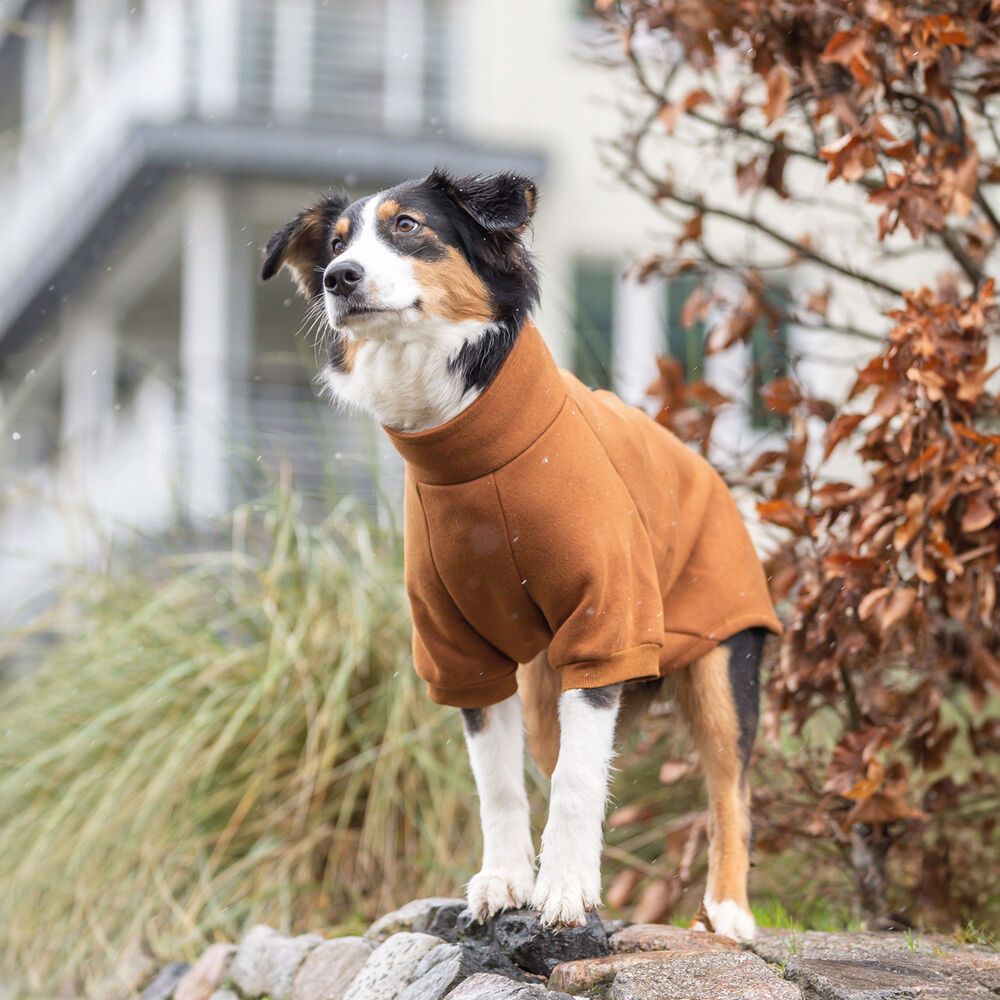 Trixie Hunde Sweater - City Style Amsterdam