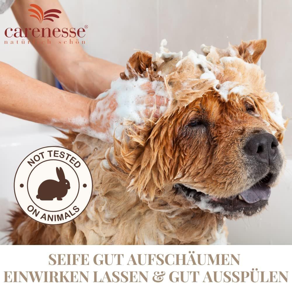 Hund wird mit Seife gewaschen. Logo Carenesse. Text: Seife gut aufschäumen, einwirken lassen & gut ausspülen. Ohne Tierversuche-Siegel.