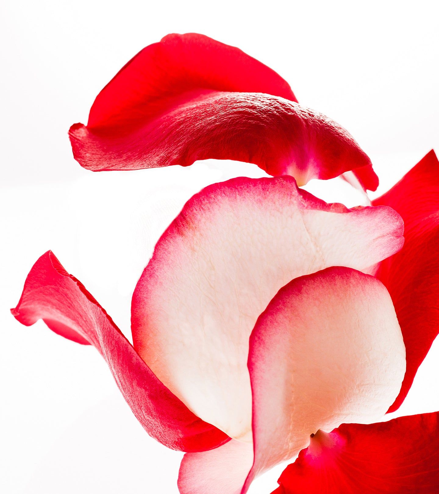 KORRES Apothecary Wild Rose Peeling-Creme