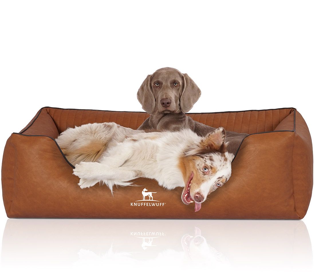 Braunes Hundebett mit zwei Hunden. Ein Hund liegt, einer sitzt. Logo unten. Rechteckige Form mit erhöhten Seiten.