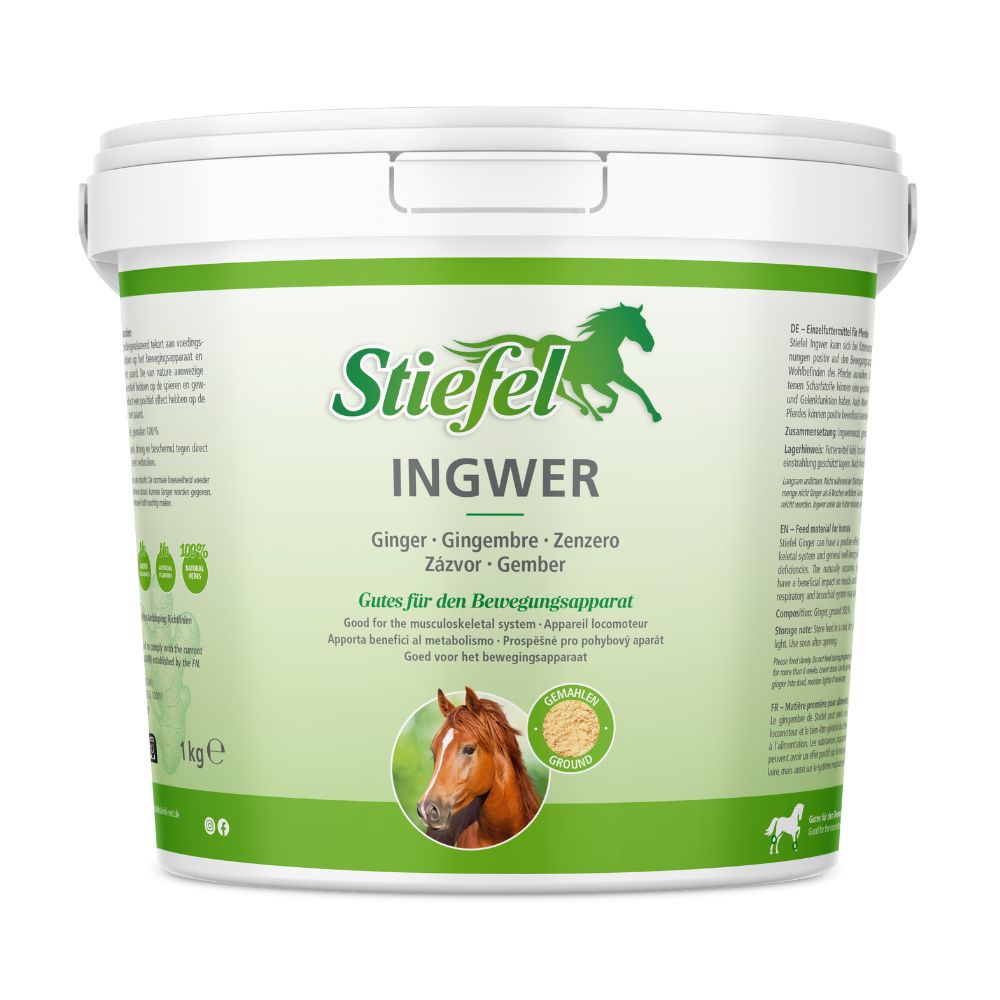 Weißer Eimer mit grünem Etikett. Text: Ingwer, Stiefel. Abbildung eines Pferdekopfes. 1 kg.