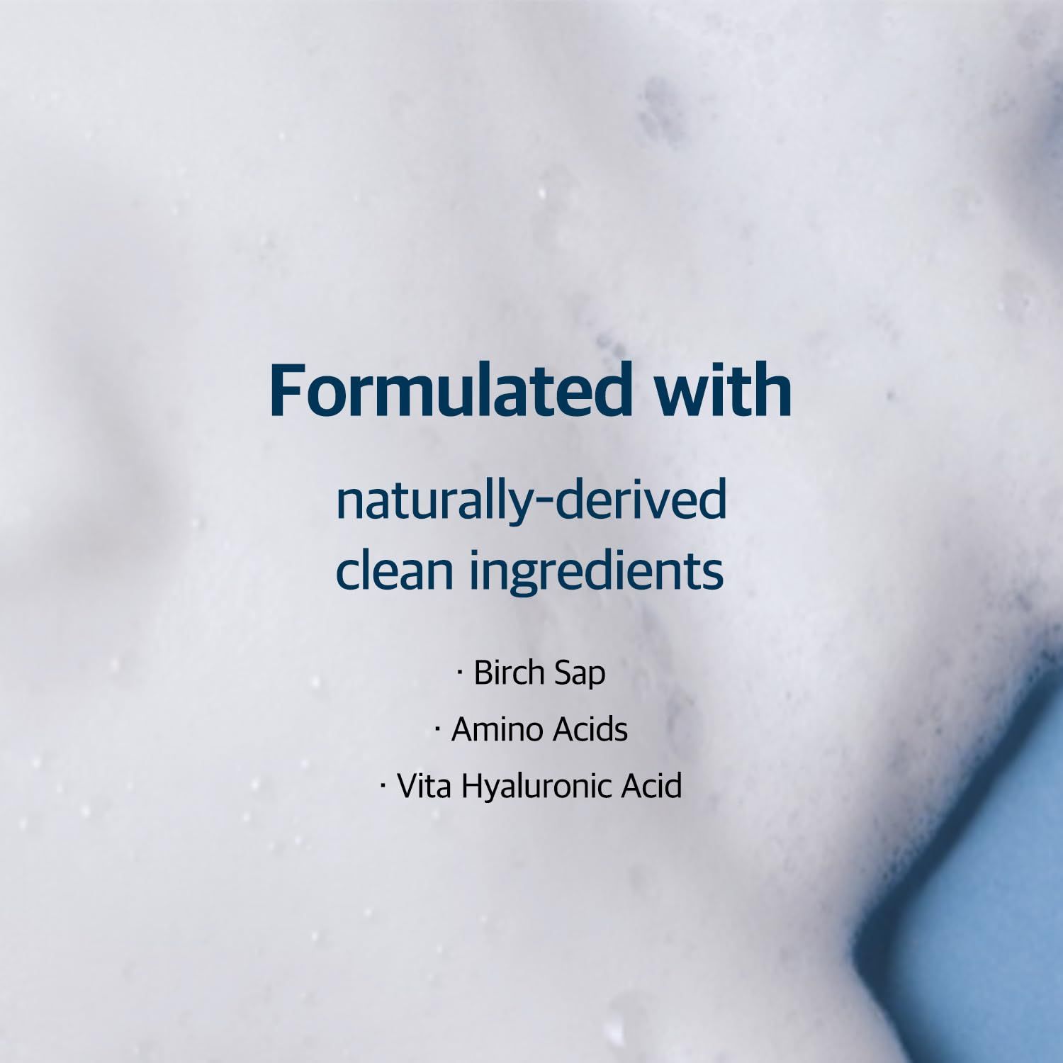 ROUND LAB Birch Juice Moisturizing Cleanser