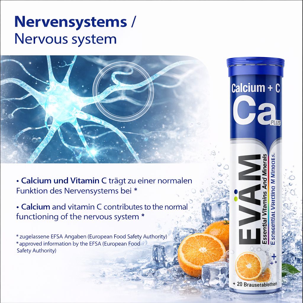 EVÄM Calcium + Vitamin C Brausetabletten. Tube. Illustration des Nervensystems. Text: Calcium und Vitamin C tragen zur normalen Funktion des Nervensystems bei.