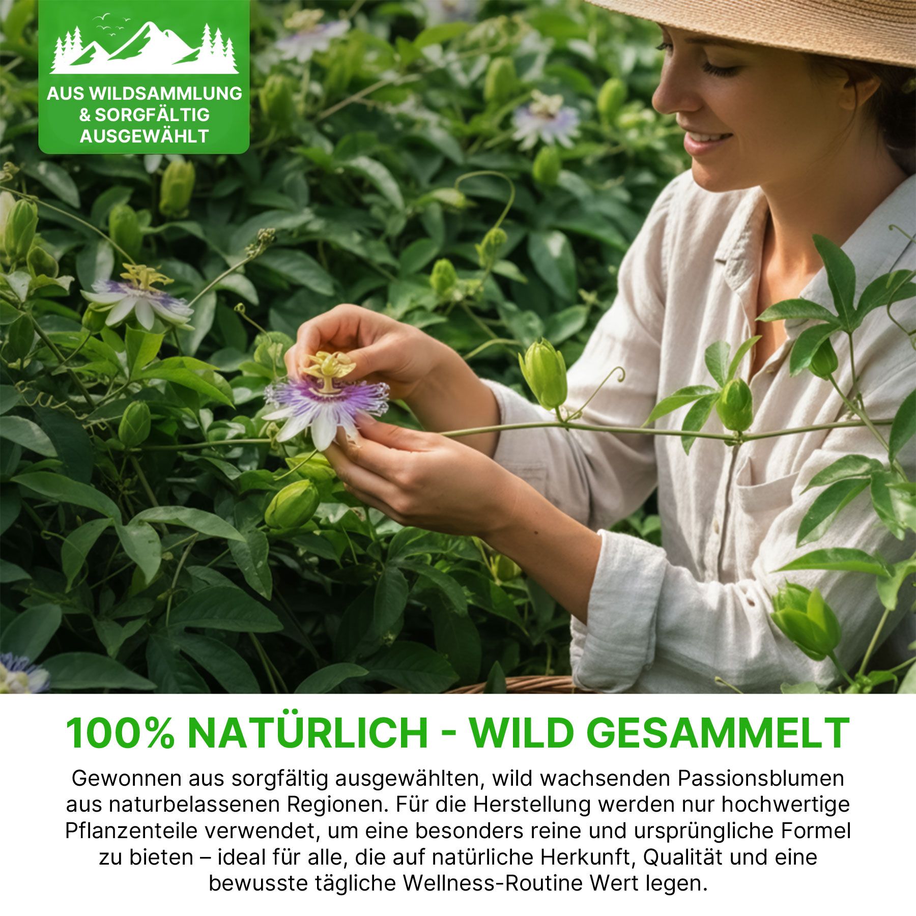 Eine Frau in einem Hut pflückt eine Passionsblume in einem Feld, mit Text über natürliche Inhaltsstoffe.