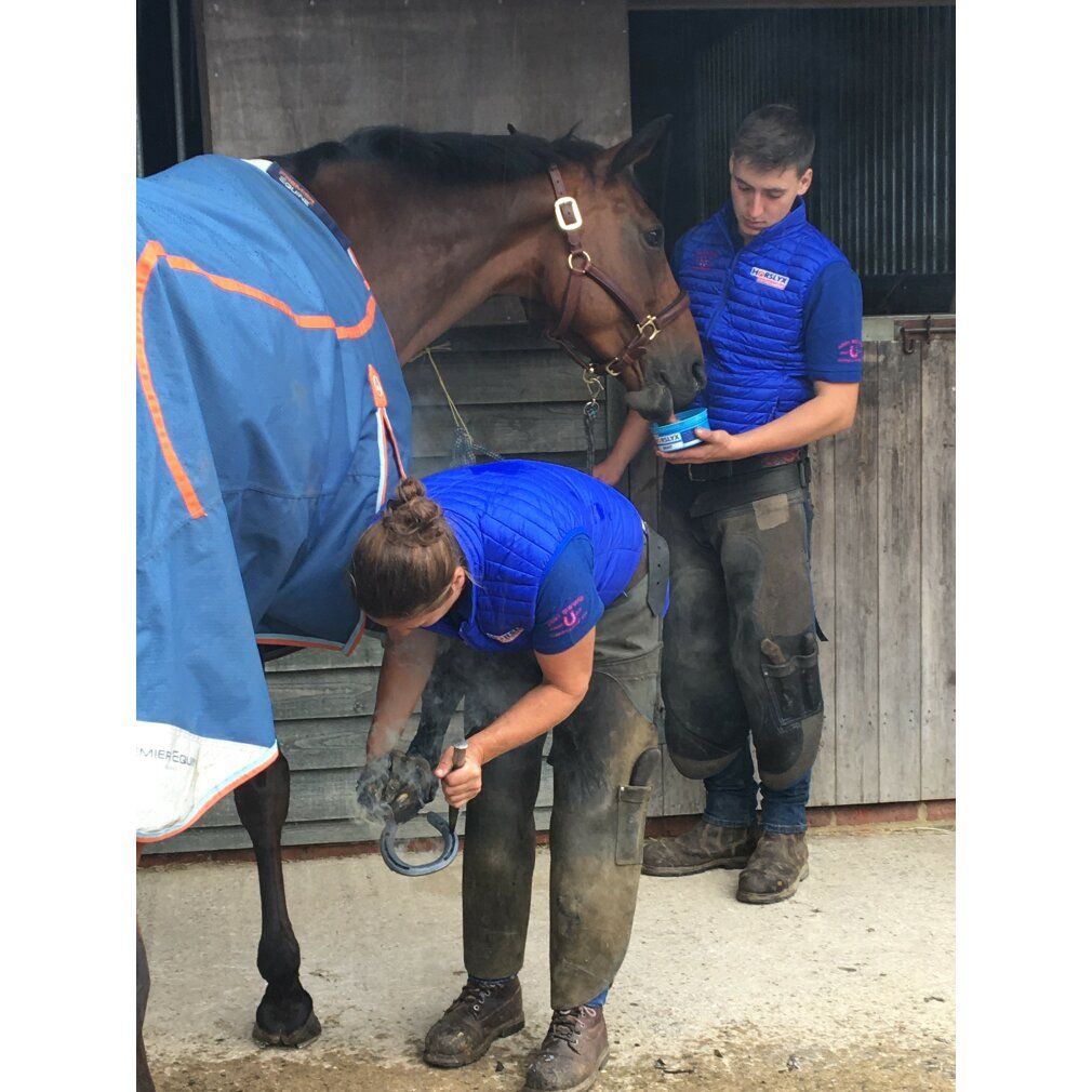 Zwei Personen arbeiten an einem Pferd. Eine Person bearbeitet den Huf, die andere hält eine blaue Schüssel vor das Pferd.
