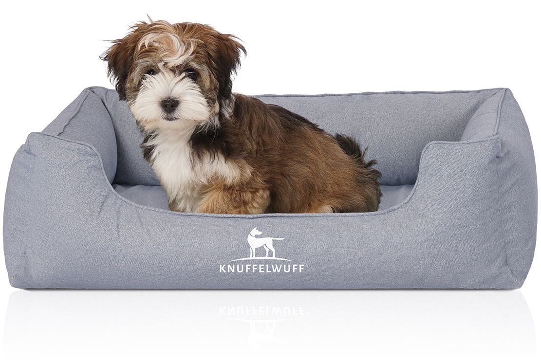 Kleiner Hund sitzt in einem grauen Hundebett. Das Logo 'Knuffelwuff' ist sichtbar.