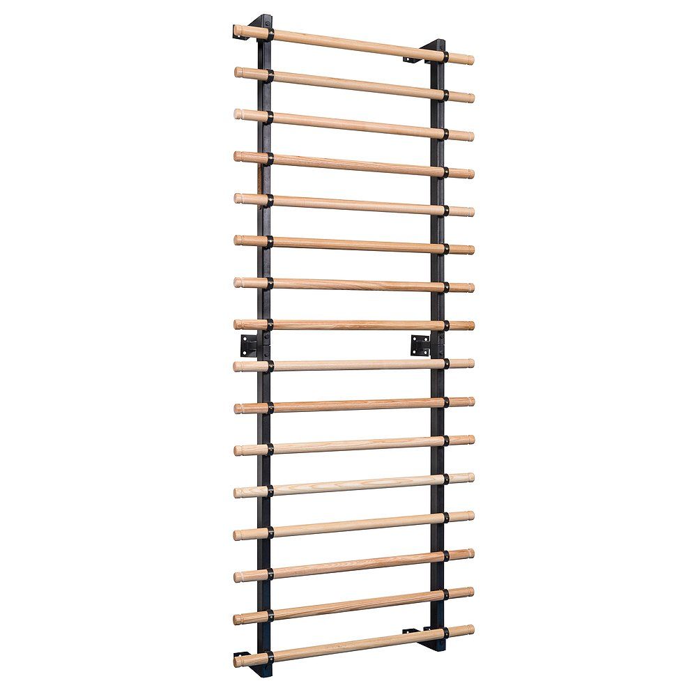 Sport-Thieme Sprossenwand XS: Vollständige Ansicht der an der Wand montierten Sprossenwand aus Holz und Metall.